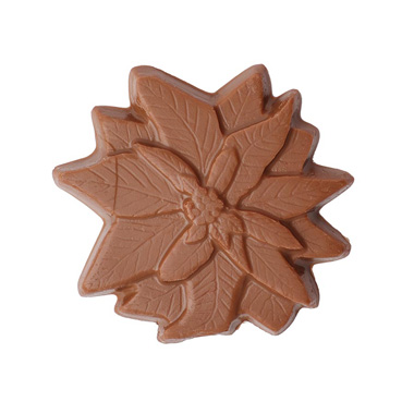 Poinsettia